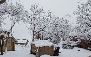 हुम्लामा भारी हिमपात